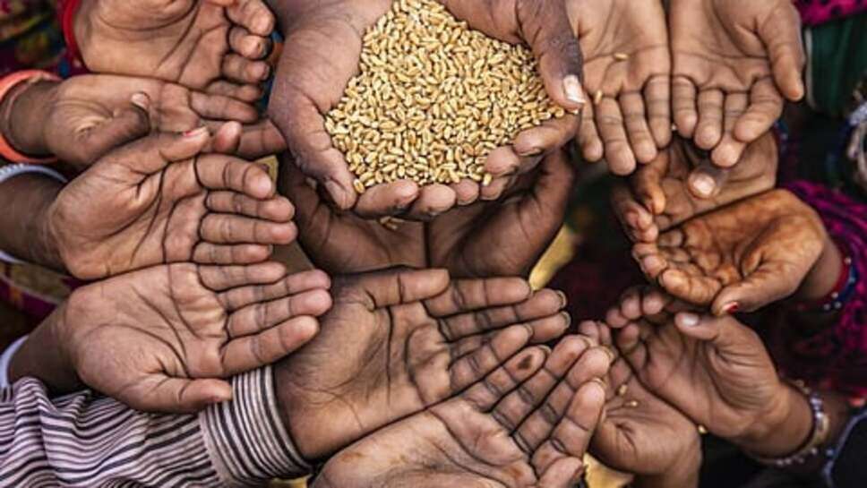 Rajasthan: दो-तीन मंजिला मकान वाले भी ले रहे है निशुल्क राशन का लाभ! विभाग ने इतने लोगो को जारी किए नोटिस