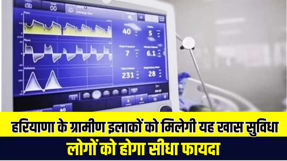 Haryana News 