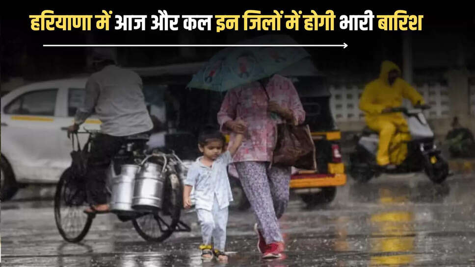 Haryana Monsoon Update : हरियाणा में मानसून की पूरी तरह एंट्री! आज और कल इन जिलों में होगी भारी बारिश 