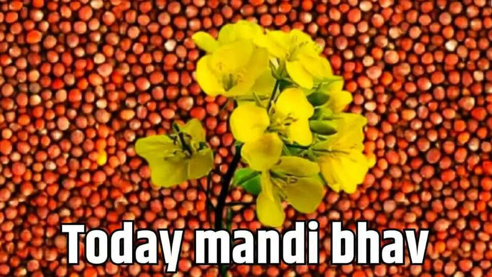 Mandi Bhav : सरसों, चने, गेंहू के समेत सभी फसलों के नए भाव हुए जारी, जानिए 30 अप्रैल का मंडी भाव 