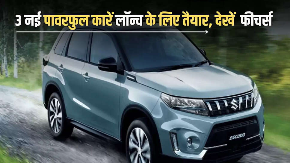 New Car Lounch