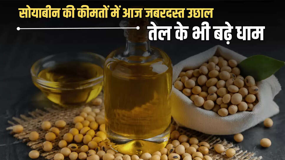 Soybean Oil Rate Hike : सोयाबीन की कीमतों में आज जबरदस्त उछाल, तेल के भी बढ़े धाम, देखें Today Mandi Bhav