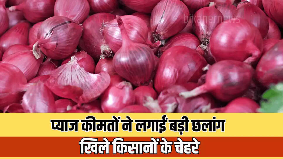 Onion Price Hike : अचानक प्याज कीमतों ने लगाईं 300 रूपये प्रति क्विंटल की छलांग, खिले किसानों के चेहरे 