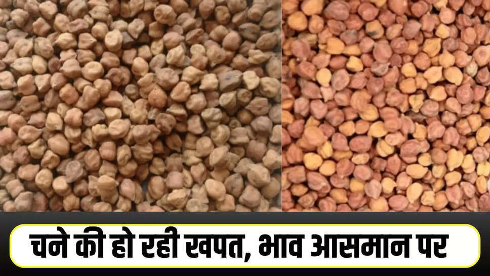 Chana Bhav