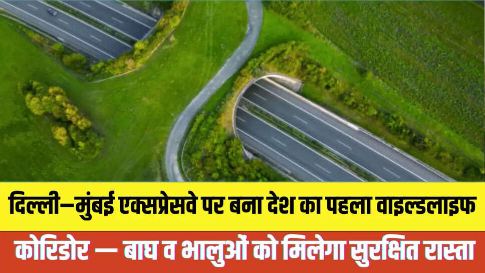 India's First Wildlife Corridor