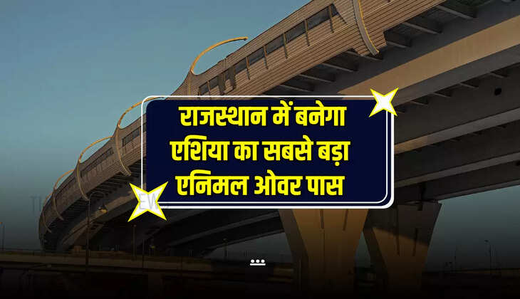 Rajasthan News: दिल्ली-मुंबई एक्सप्रेस-वे पर राजस्थान में बनेगा एशिया का सबसे बड़ा एनिमल ओवर पास