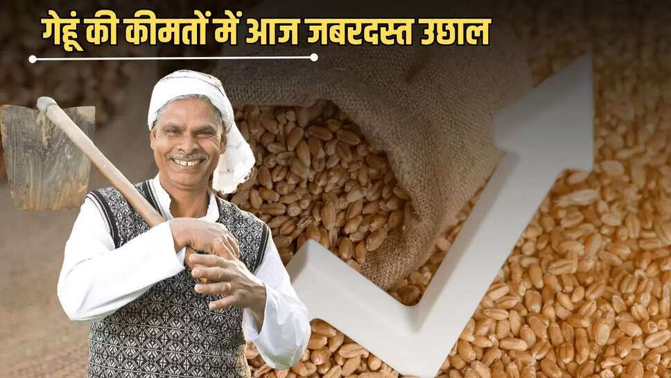 Wheat Price Hike: गेहूं की कीमतों में आज जबरदस्त उछाल, देखें आज के मंडी भाव 