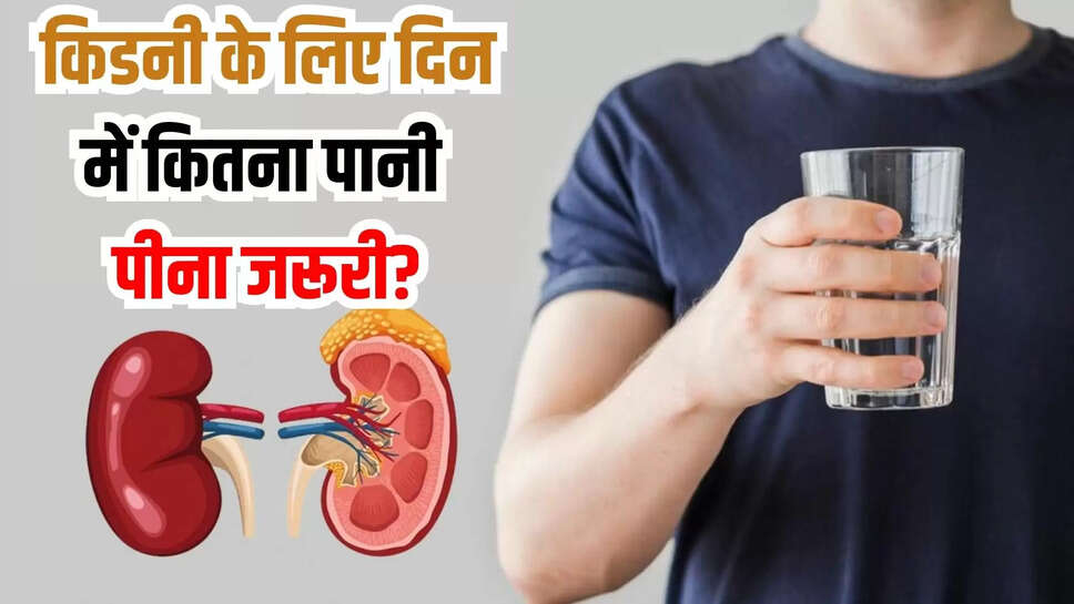 kidney health