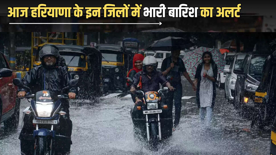 Haryana Weather Update : आज हरियाणा के इन जिलों में भारी बारिश का अलर्ट, घरों से निकलने से पहले चेक करें ताजा अपडेट 