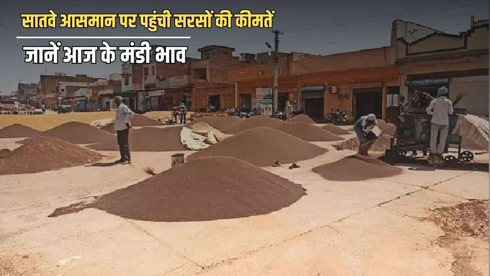 Amit Goyal, Bharatpur, Bharatpur news, farmers are in trouble, Mustard prices, mustard prices hike
