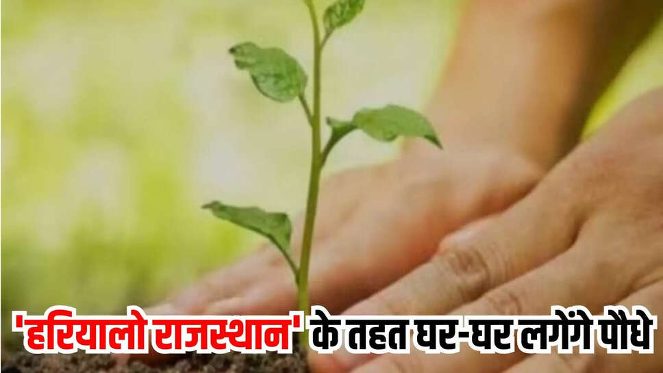 rajasthan news