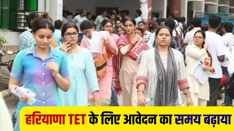 haryana tet