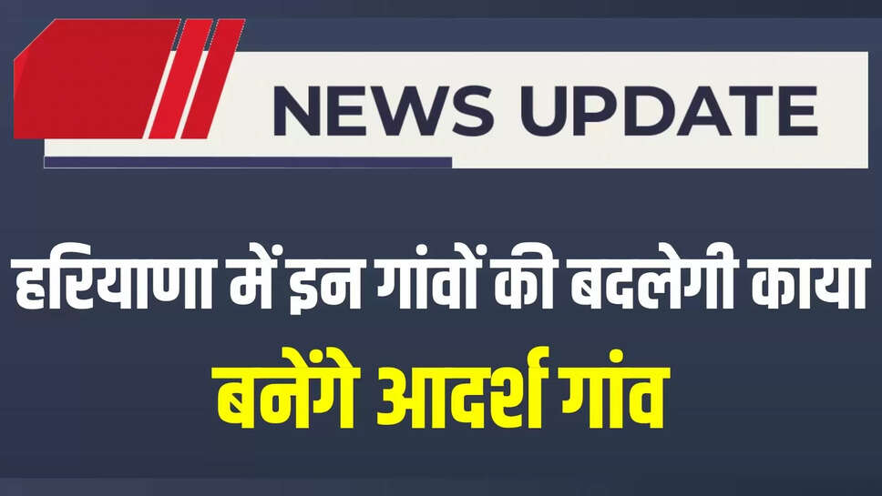 haryana news