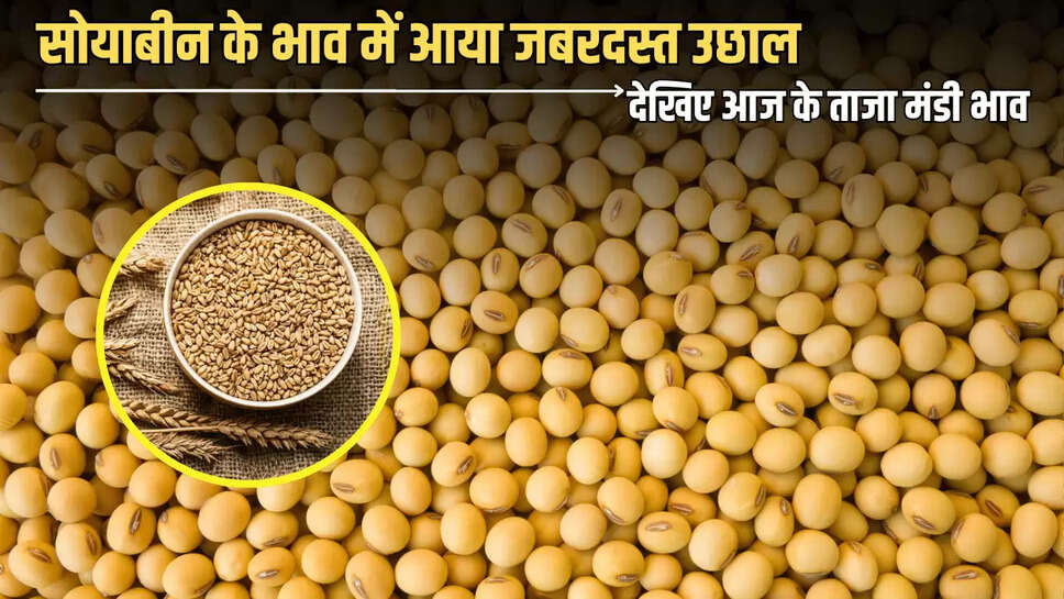 MANDI BHAV : सोयाबीन के भाव में आया जबरदस्त उछाल, देखिए आज के ताजा मंडी भाव