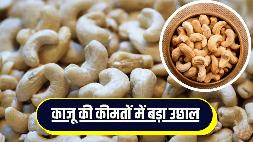Cashew prices Today : काजू की कीमतों में बड़ा उछाल, जानें शहर की बड़ी मंडियों के ताजा रेट 