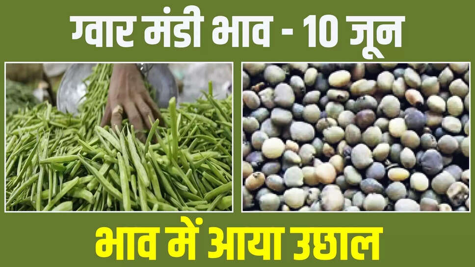 guar mandi bhav today 10 june