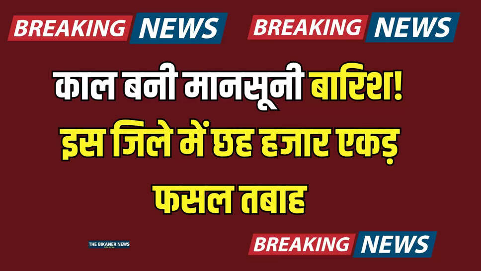 "hisar-general,Haryana weather update,Yamunanagar rain,Hisar crop damage,Farmer death Yamunanagar,Nakati River drowning,Haryana weather forecast,Monsoon in Haryana,Haryana rainfall,Saudhaura rain,Weather changes in Haryana,Haryana news