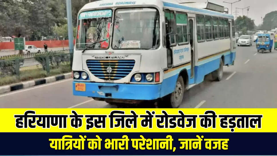Haryana News