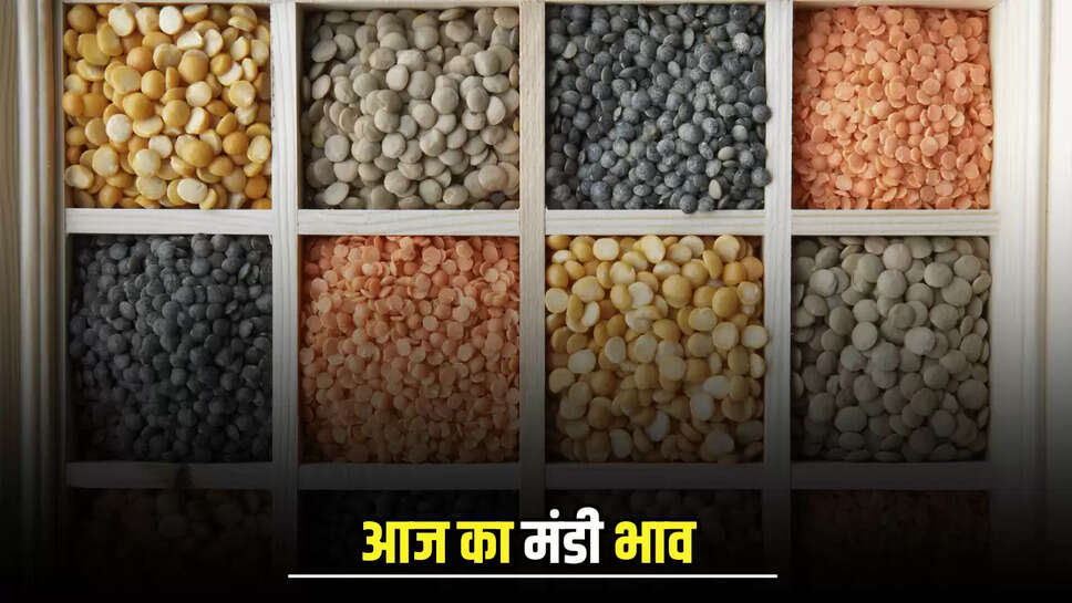 जानिए आज 15 अगस्त का Mandi Bhav, दालों की कीमतों में जबरदस्त गिरावट 