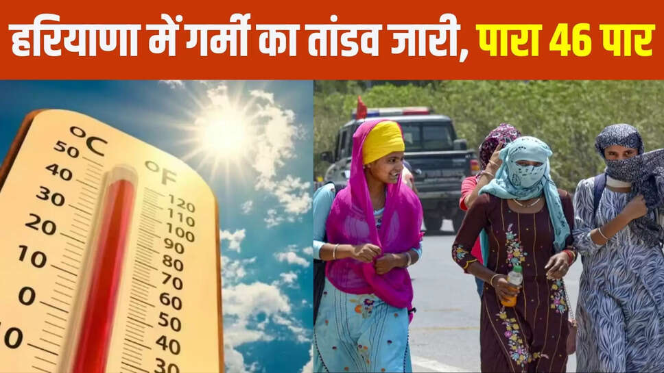 haryana weather update