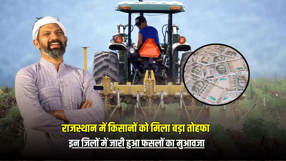राजस्थान में किसानों को मिला बड़ा तोहफा, इन जिलों में जारी हुआ फसलों का मुआवजा!