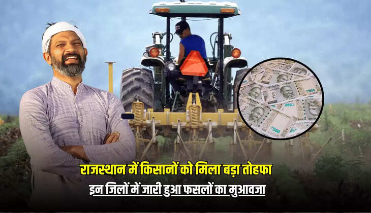 राजस्थान में किसानों को मिला बड़ा तोहफा, इन जिलों में जारी हुआ फसलों का मुआवजा!
