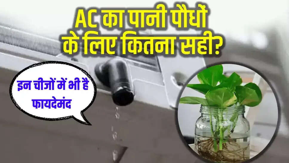 AC Water Benifit: फालतू समझकर ना बहाएं AC से निकला पानी, इन कामों को निपटाने के लिए होता है बेहतरीन विकल्प