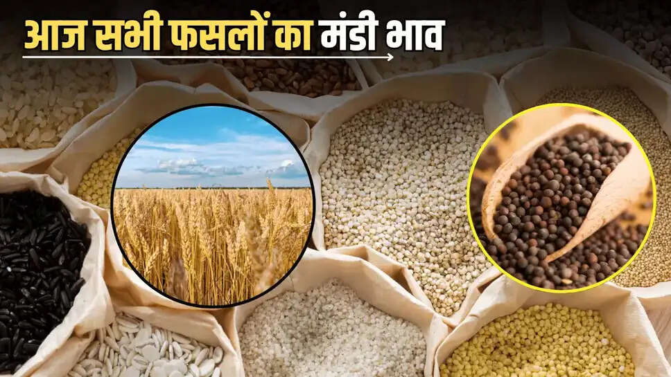 शनिवार को जारी हुए मंडी भाव, प्याज की कीमतों में दिखा उछाल, देखें 9 अगस्त को बाकि सभी फसलों के मंडी रेट 
