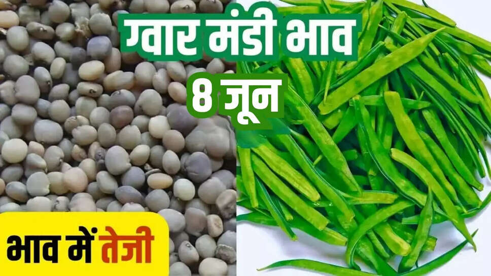 guar mandi bhav today 8 june
