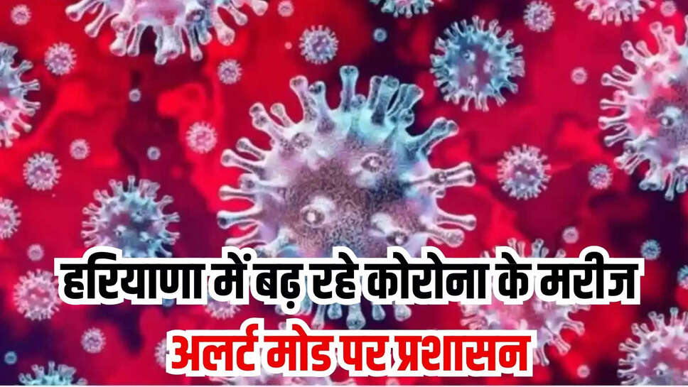 haryana corona update