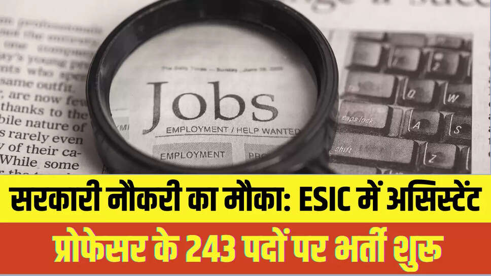 Government Job