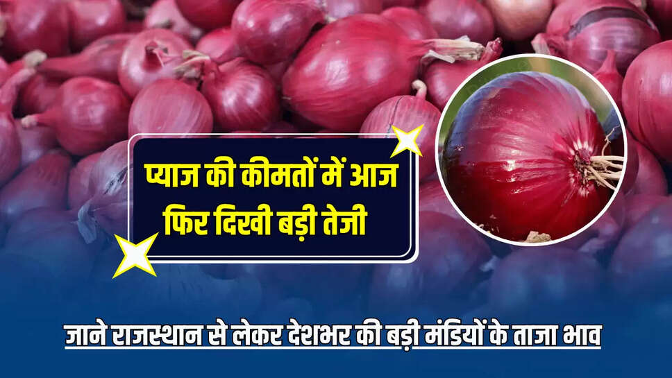 Onion Price hike : प्याज की कीमतों में आज फिर दिखी बड़ी तेजी, जाने राजस्थान से लेकर देशभर की बड़ी मंडियों के ताजा भाव 