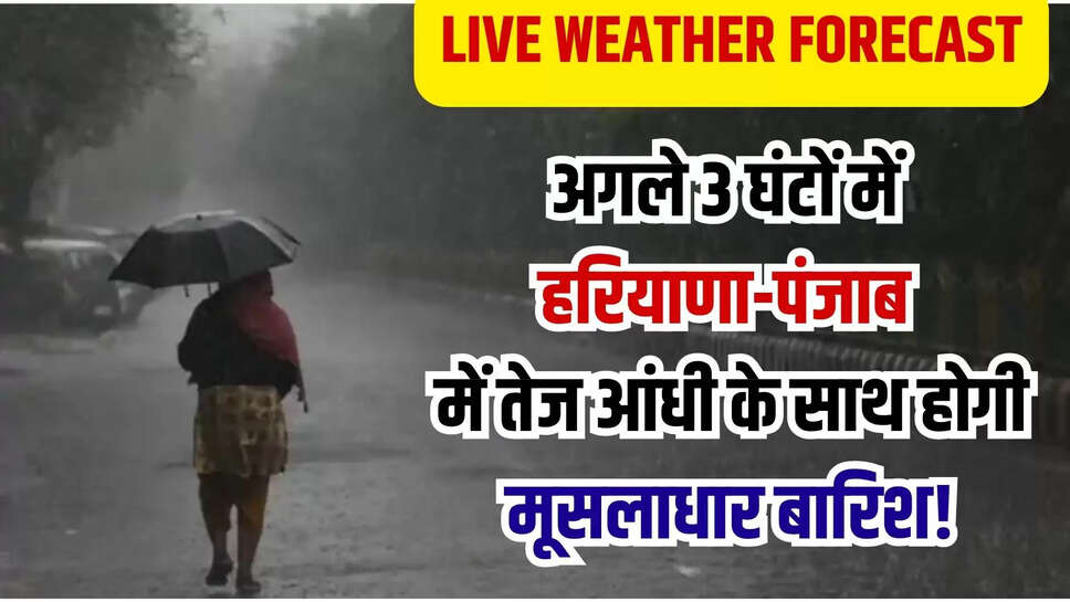live weather fofrecast