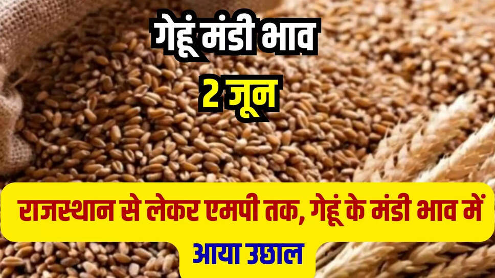 gehun mandi bhav today 2 june