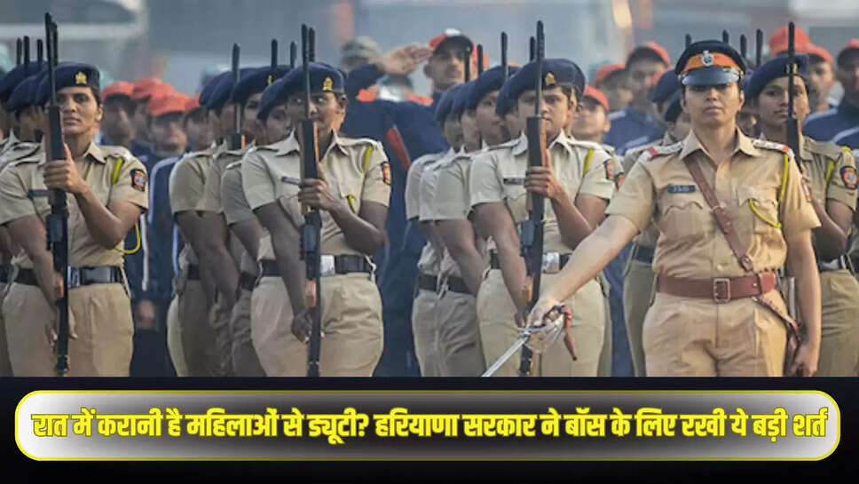Haryana News