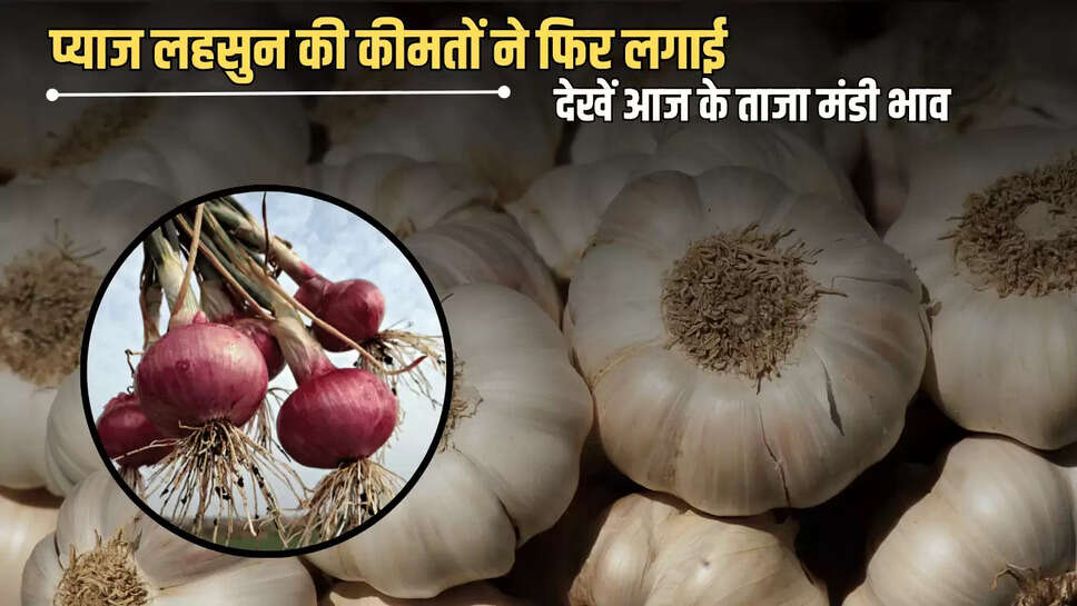 Onion Garlic Price Hike : प्याज की कीमतों ने फिर लगाई छलांग,  लहसुन में भी दिखी तेजी, देखें आज के ताजा मंडी भाव 