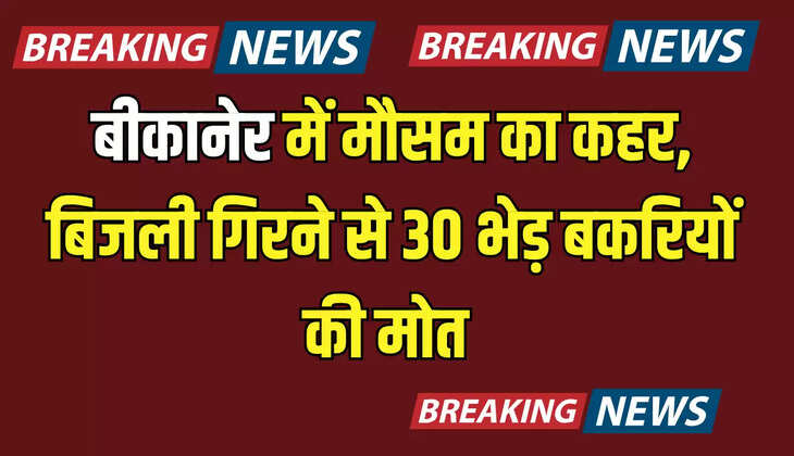 Bikaner Weather : बीकानेर में मौसम का कहर, अचानक बिजली गिरने से 30 भेड़ बकरियों की मोत 