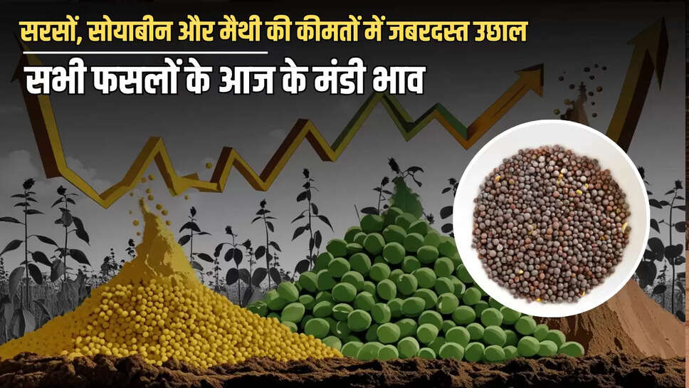 Agro Commodity, Bhamashah Mandi Kota, bullion market, edible oils stable, fenugreek Price rise, Garlic Price down, gold silver price, kota mandi bhav, kota mandi news, 