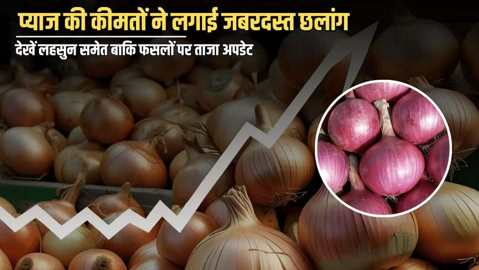 Onion Price Hike : प्याज की कीमतों ने लगाई जबरदस्त छलांग, देखें आज लहसुन समेत बाकि फसलों पर ताजा अपडेट 