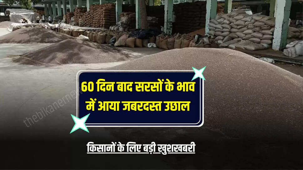 alwar news,Behror Agricultural Produce Market,behror krishi upaj mandi,behror news,good news for farmers,hindi news,Mustard Crop,Mustard prices,patrika news,rajasthan news 