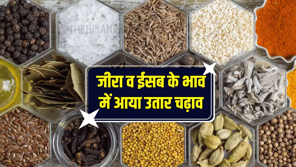 mandi bhav, today mandi bhav , rajasthan mandi bhav today jira mandi bhav 