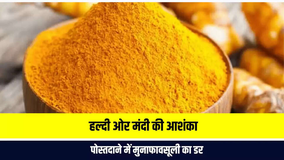 Mandi Bhav