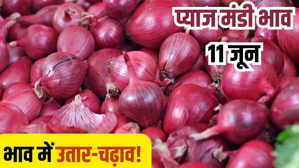 pyaj mandi bhav today 11 june