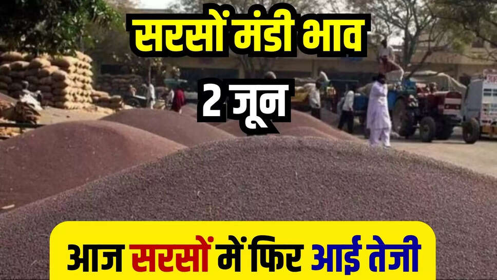 sarson mandi bhav today 2 june