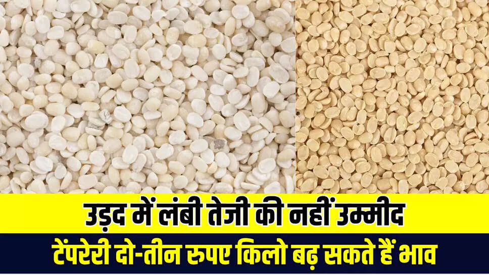 Mandi Bhave
