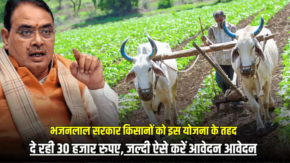 farmers news,Farmers Scheme,बैलों से खेती,राजस्थान सरकार,राजस्थान सरकार की योजना | Pratapgarh News