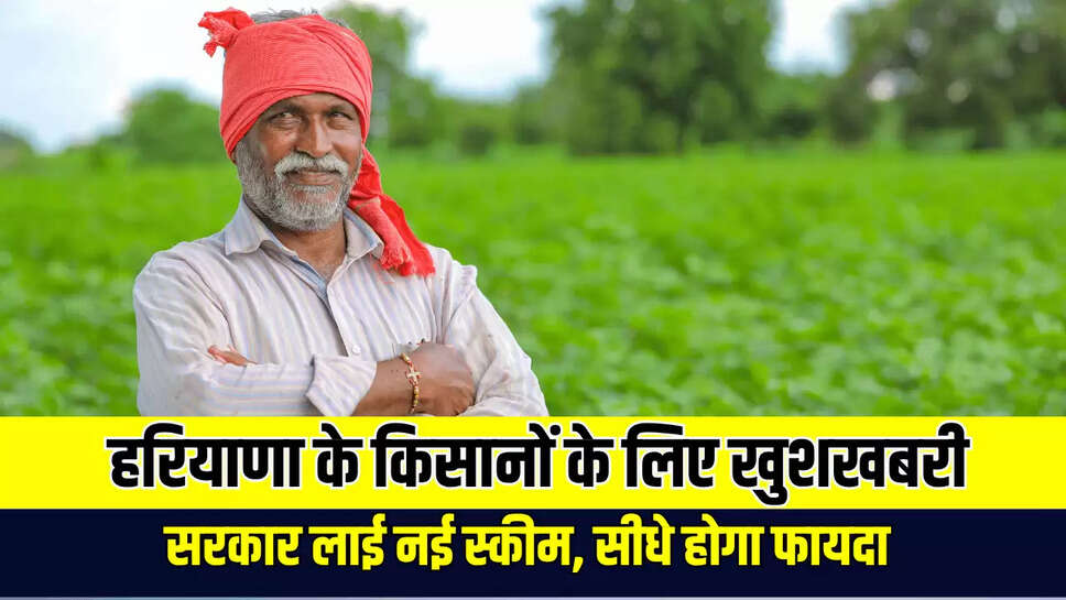 Haryana News