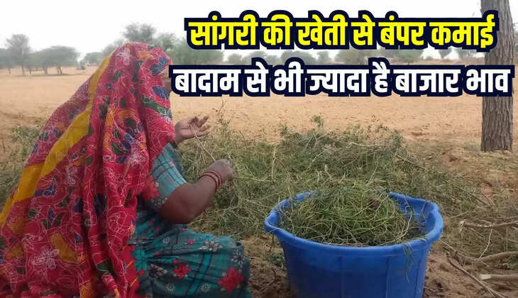 rajasthan news