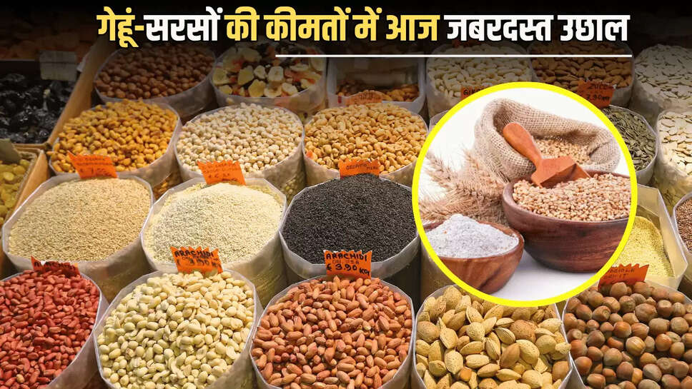  गेहूं-सरसों की कीमतों में आज जबरदस्त उछाल