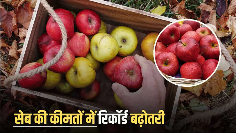 Apple Price Hike : सेब की कीमतों में रिकॉर्ड बढ़ोतरी, एक पेटी की कीमत जान रह जायंगें दंग